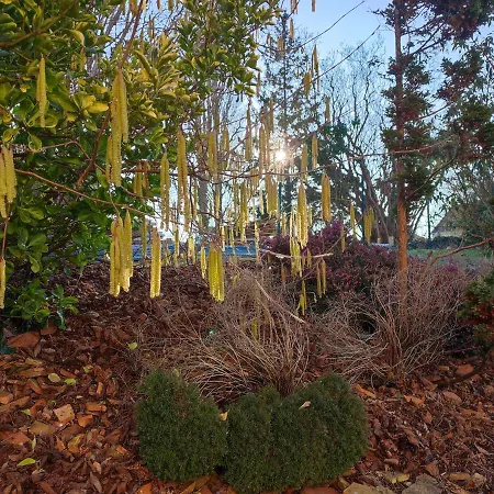 Aux Basses Besnardieres * Pontvallain